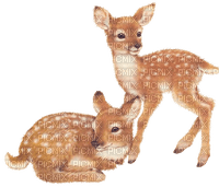 Bambi - nemokama png
