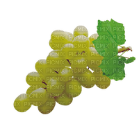 white grapes 3 - ilmainen png