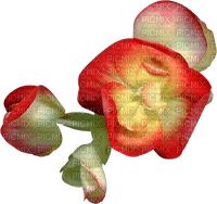 fleur, Pelageya - darmowe png