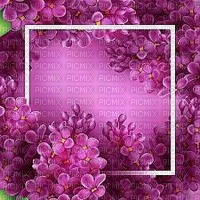MMarcia fundo cadre frame lilac floral - gratis png