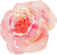 Watercolor Rose - png ฟรี