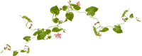dolceluna vines flowers pink - png grátis