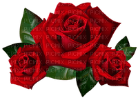les roses - PNG gratuit