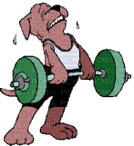 Pumping Iron Dog - GIF animado gratis
