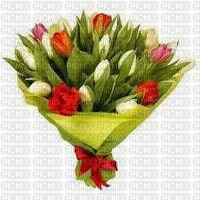tulipany - δωρεάν png