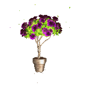 FLOWERS - Ingyenes animált GIF