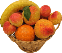 fruit apricots bp - Free PNG