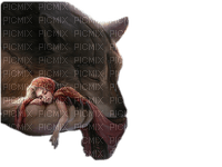 Red Riding Hood bp - kostenlos png
