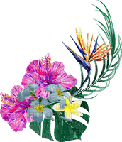 Tropical flowers  Bb2 - бесплатно png