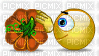 rollin pumpkin - GIF animé gratuit