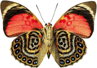Vlinder - PNG gratuit
