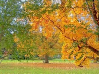 maisema landscape syksy autumn - gratis png