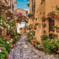 Flower Street - Δωρεάν κινούμενο GIF