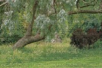 tree background - zdarma png