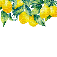 kikkapink lemon fruit deco png border - ilmainen png