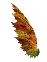 fall wing - 無料png