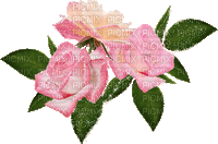 flowers flower spring _fleurs_rose  fleur _printem_flowers flflower   spring Summer gif plants - Free animated GIF