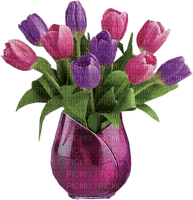 Blumen, Tulpen, Vase - png grátis