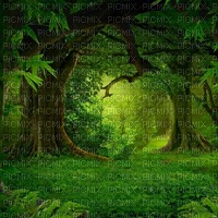 Лесной фон - 免费PNG