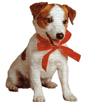 chiot ** - δωρεάν png
