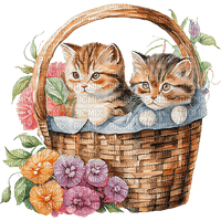 Easter-kitty-egg-basket, Adam64 - 免费PNG