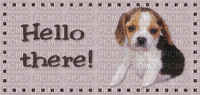 little beagle puppy 🩵😭 - GIF animate gratis