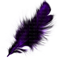 Feather - Free PNG