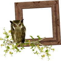 Kaz_Creations Owl Owls - gratis png