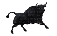 Spanish bull bp - безплатен png