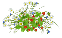 Y.A.M._Summer Flowers Decor - PNG gratuit