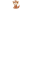 Ferret - Ingyenes animált GIF