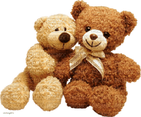 Kaz_Creations Bear Teddy - nemokama png