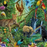 Jungle jpg - Free PNG