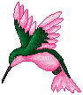 Hummingbird - Gratis animeret GIF