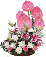 cvijeće - 免费PNG