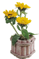 Sunflower.Tournesol.Pot.Victoriabea - Free PNG