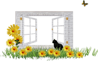window fenetre cat flowers chat - gratis png