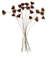 dry flowers Bb2 - ilmainen png