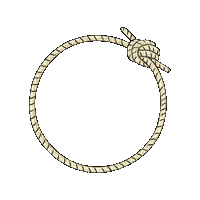Bride Ring - 免费动画 GIF
