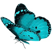 green butterfly - δωρεάν png