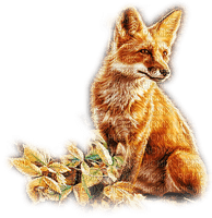 soave animals autumn leaves fox deco brown orange - ücretsiz png