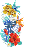 tropical flowers Bb2 - δωρεάν png