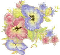 pansy flower tapette fleur