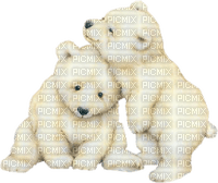 dolceluna white bear bears vintage - png gratis