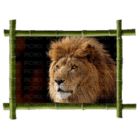 lion bp - 免费PNG