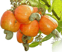 fruit bp - nemokama png