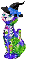 nbl-cat - Безплатен анимиран GIF