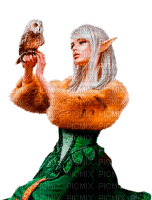 winter elf  by nataliplus - δωρεάν png
