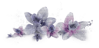 fleur violet - darmowe png