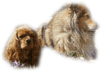 cecily-chiens - Free PNG
